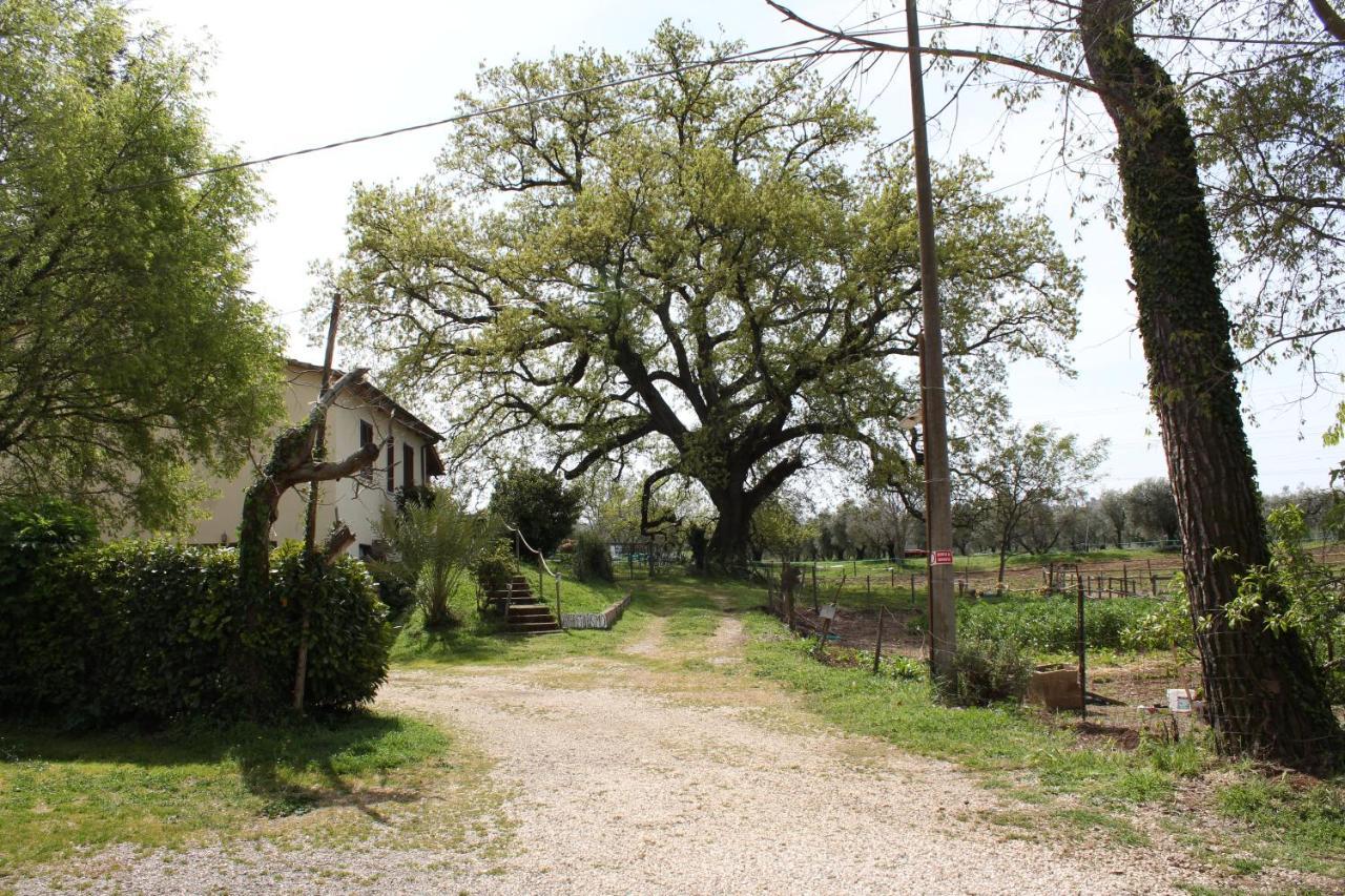 Agriturismo Il Capannone Montemerano Exteriér fotografie