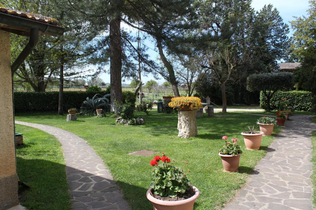 Agriturismo Il Capannone Montemerano Exteriér fotografie
