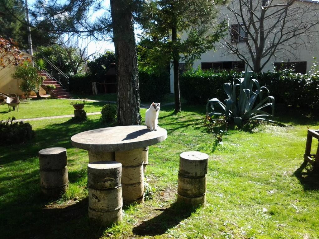 Agriturismo Il Capannone Montemerano Exteriér fotografie